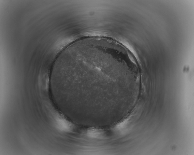 X0000094440109200711151413