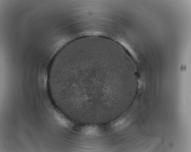 X0000094440110200711151413
