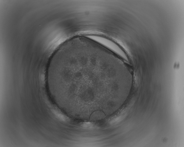 X0000094440111200711151413