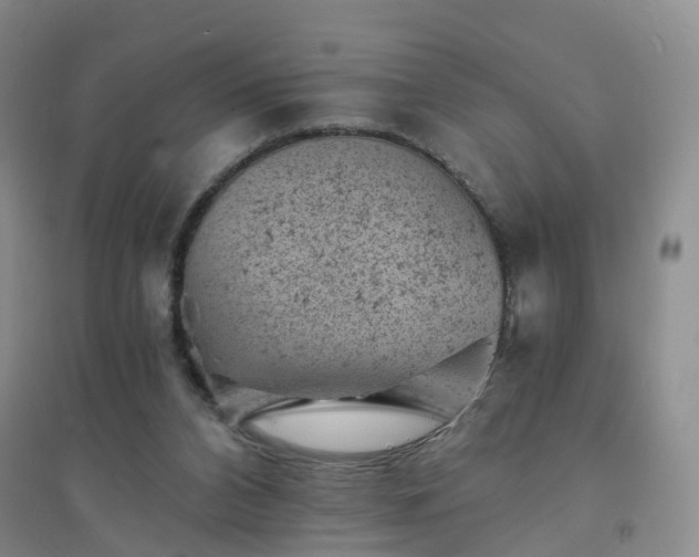 X0000094440112200711151413