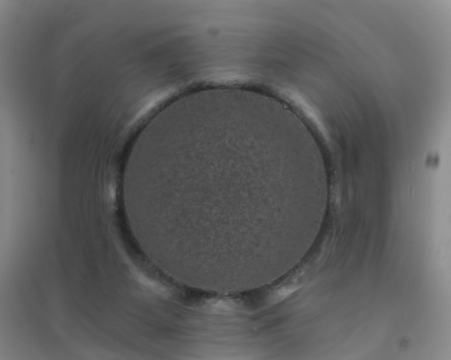X0000094440115200711151413