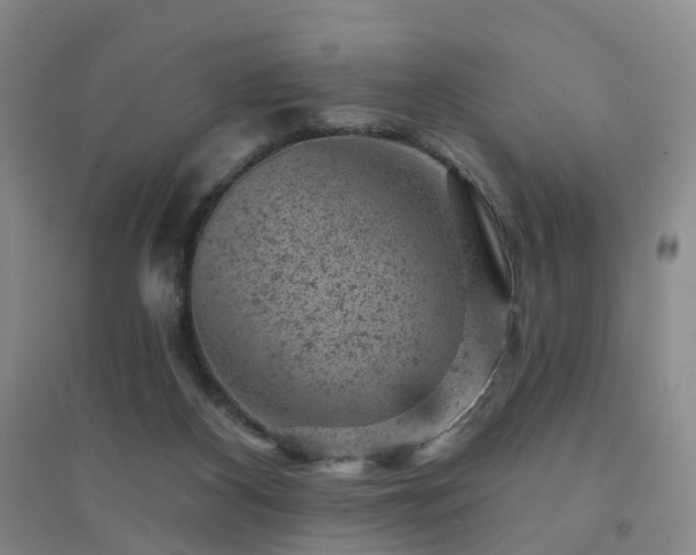 X0000094440116200711151413