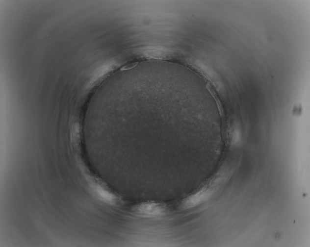 X0000094440117200711151413