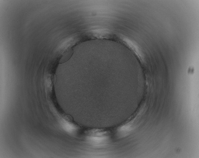 X0000094440121200711151413
