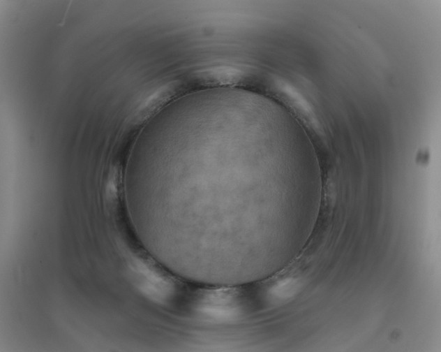 X0000094440122200711151413