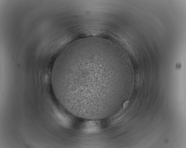 X0000094440126200711151413