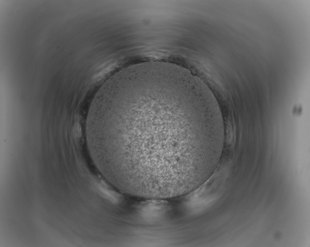 X0000094440128200711151413