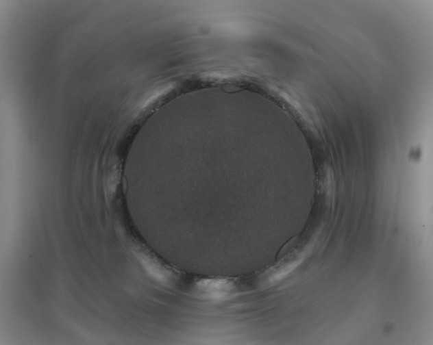 X0000094440133200711151413