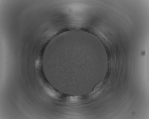 X0000094440134200711151413
