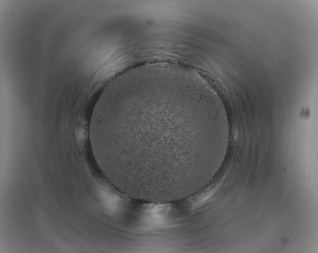 X0000094440135200711151413