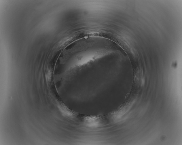 X0000094440139200711151413