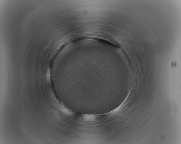 X0000094440144200711151413