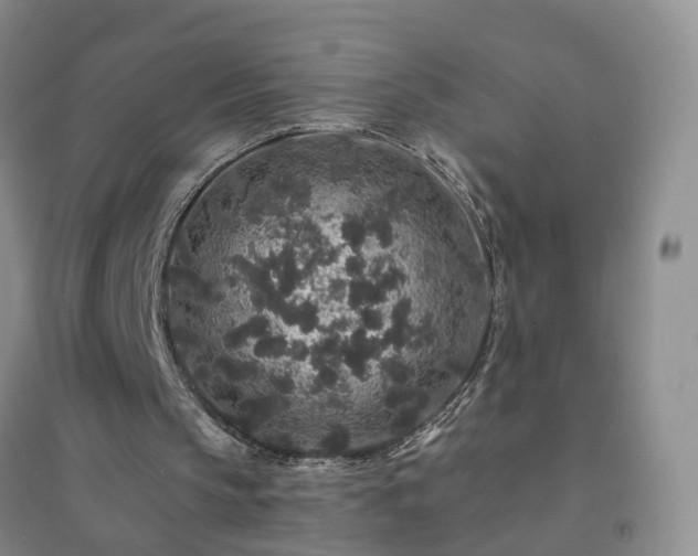 X0000094440145200711151412