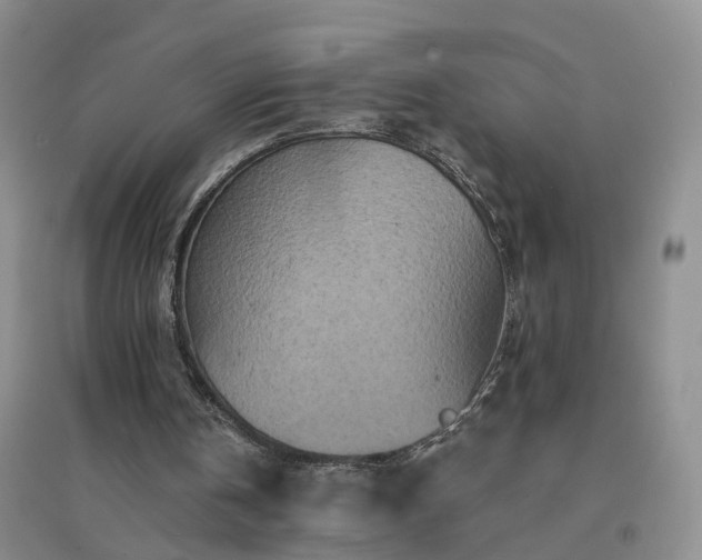 X0000094440146200711151412