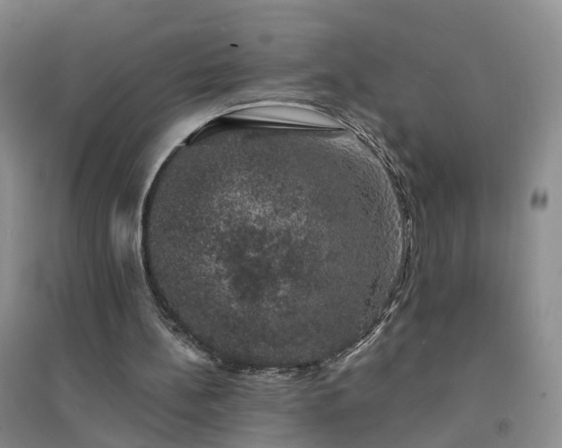 X0000094440148200711151412