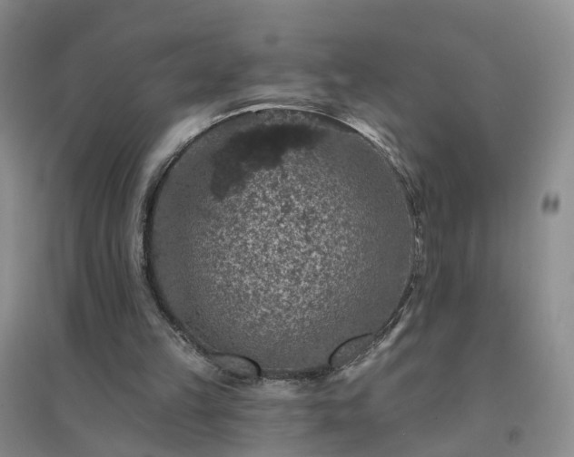 X0000094440149200711151412