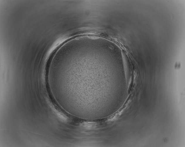 X0000094440150200711151412