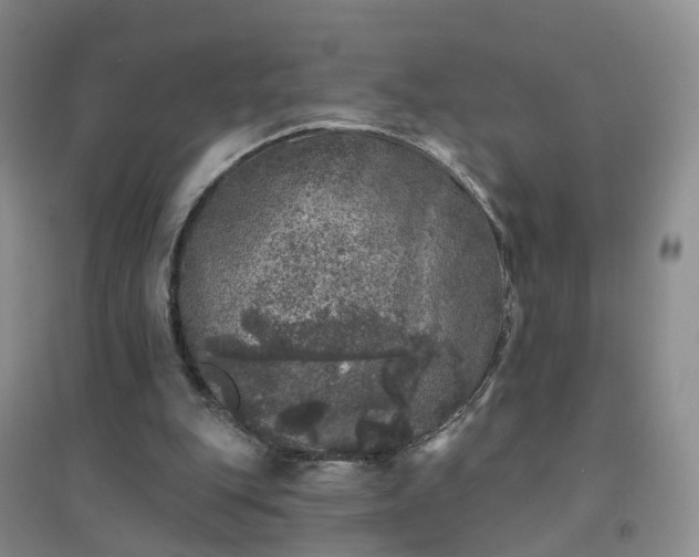 X0000094440151200711151412