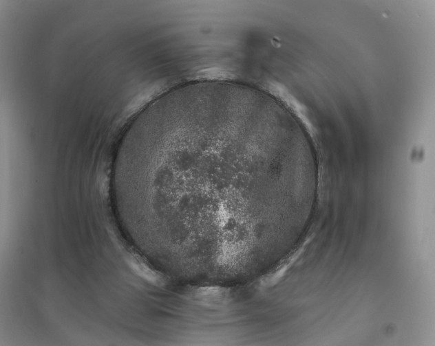 X0000094440153200711151412