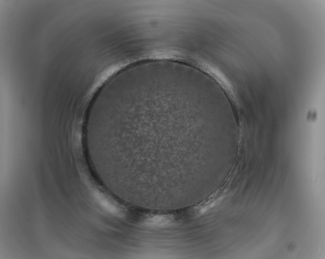 X0000094440155200711151412