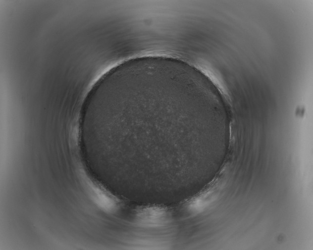 X0000094440156200711151412
