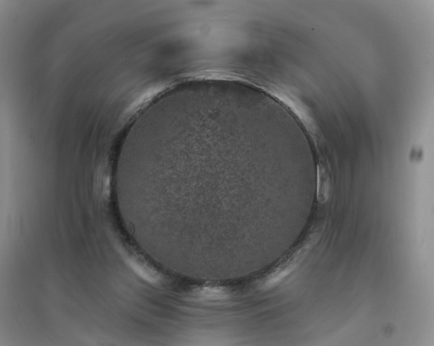X0000094440157200711151412