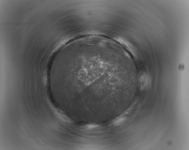 X0000094440158200711151412