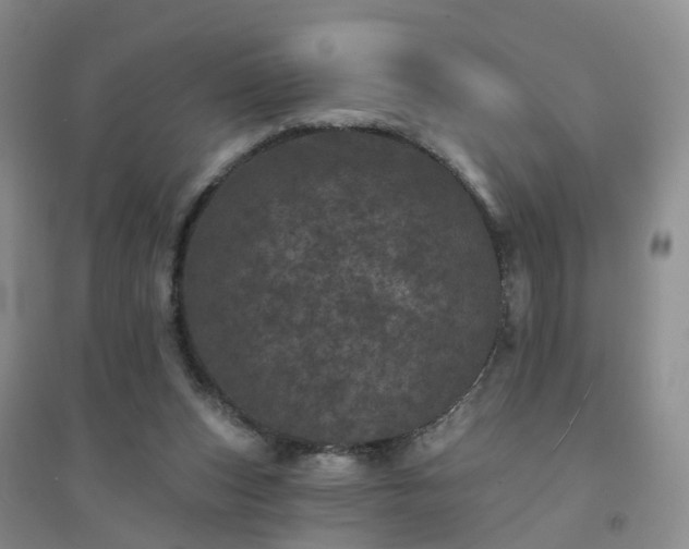X0000094440159200711151413