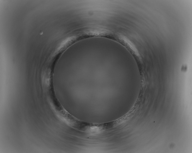 X0000094440163200711151413