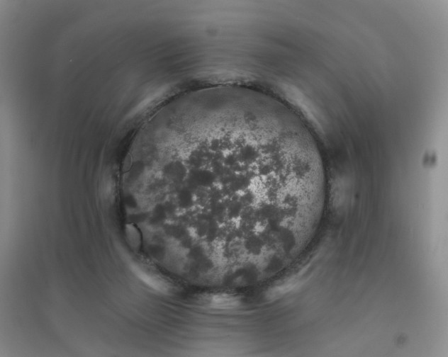 X0000094440165200711151413
