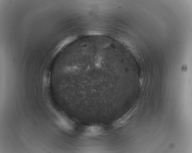 X0000094440168200711151413