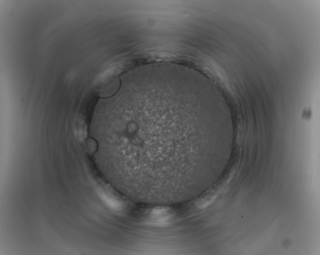 X0000094440173200711151413