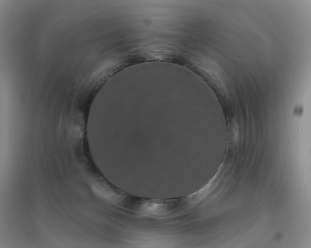 X0000094440174200711151413