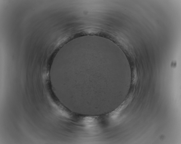 X0000094440176200711151413