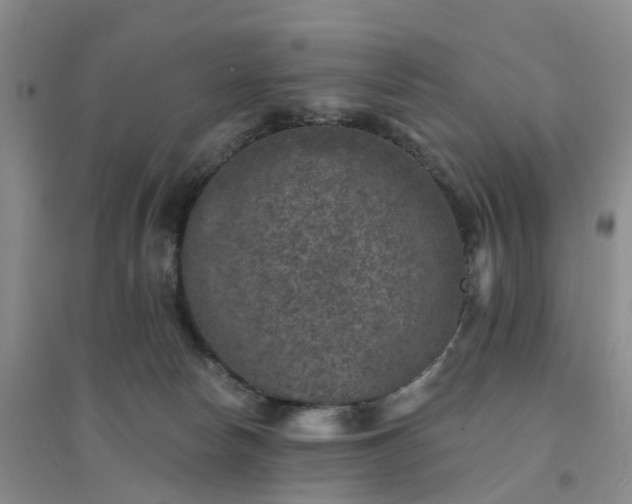 X0000094440178200711151413