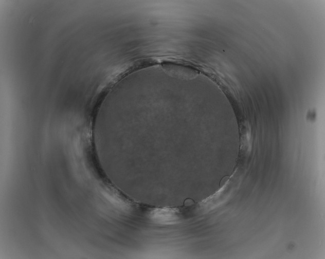 X0000094440179200711151413