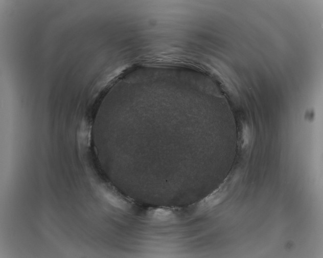 X0000094440180200711151413