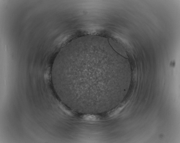 X0000094440181200711151413