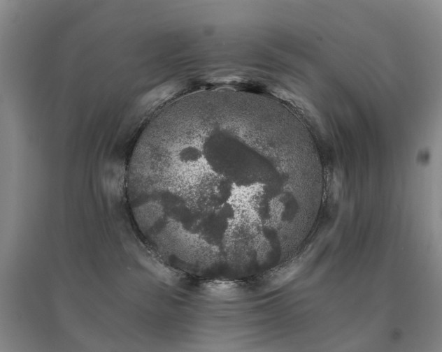 X0000094440189200711151413
