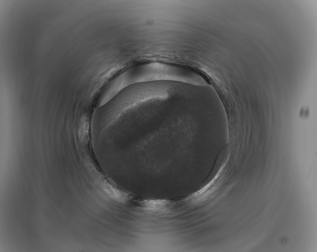 X0000094440192200711151413