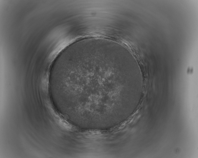 X0000094440194200711151412