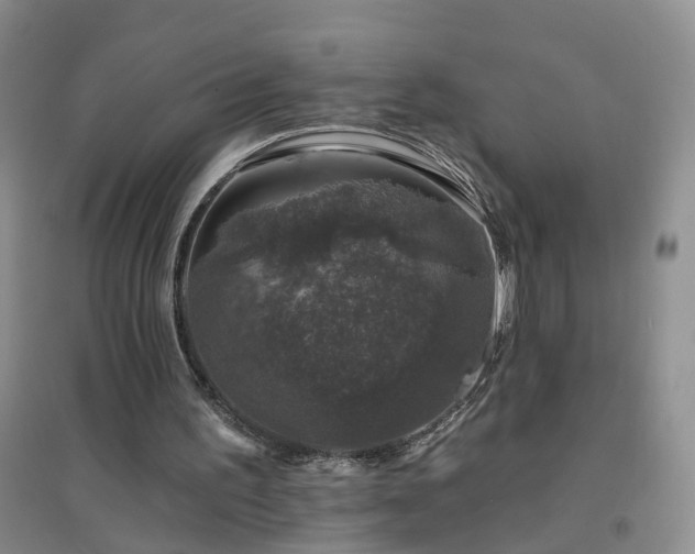 X0000094440195200711151412