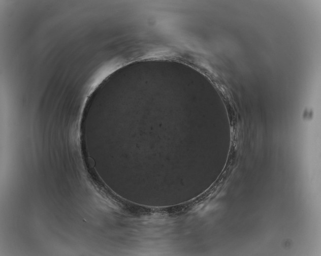 X0000094440196200711151412