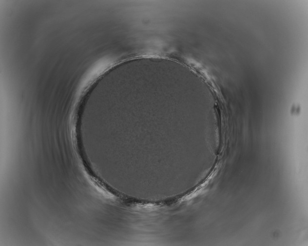 X0000094440197200711151412