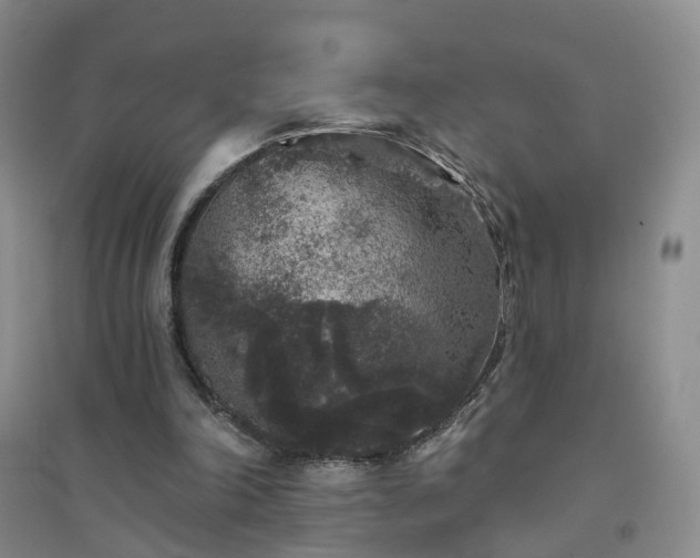 X0000094440198200711151412