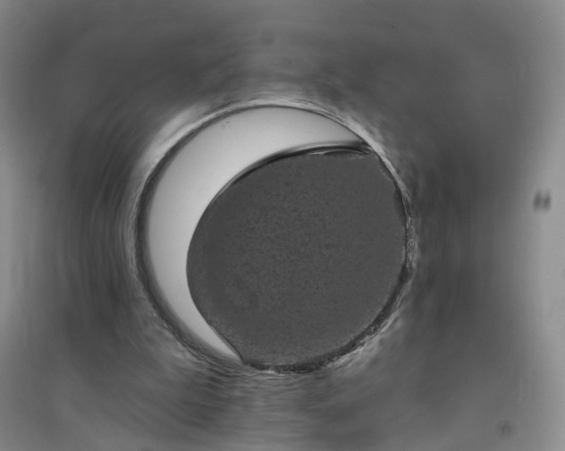 X0000094440199200711151412