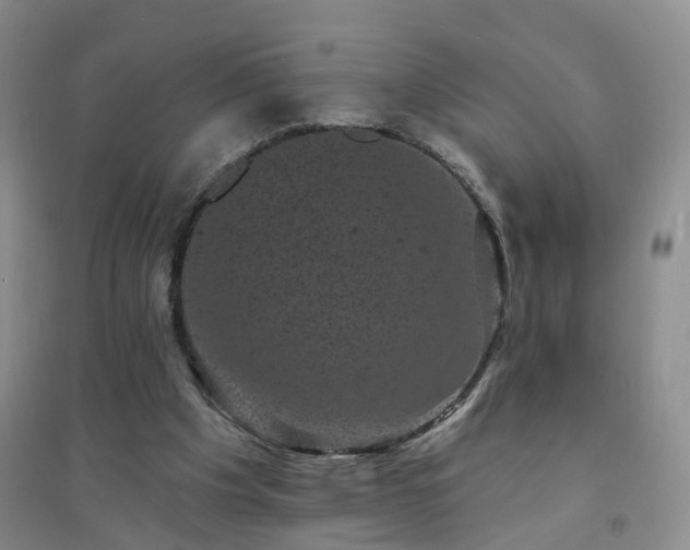 X0000094440201200711151412