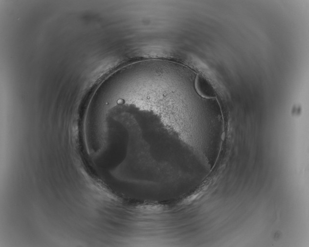 X0000094440202200711151412