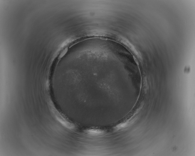 X0000094440203200711151412