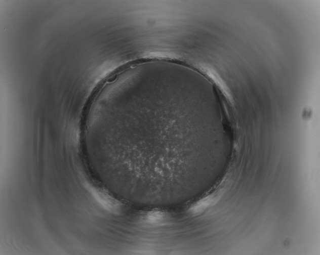X0000094440204200711151412
